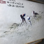 Img 0278