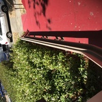 Img 0270