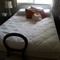 queen bed