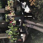 Img 3135