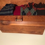 Pin Trunk Closed Use