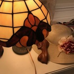 Pin Lamp Use