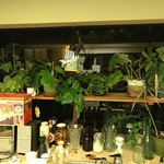 Pin Indoor Plants Use