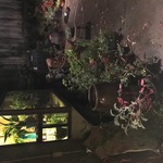 Pin Plants Two Use
