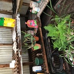 Al Plants Use