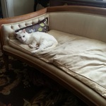 settee