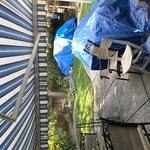 Pl Backyard
