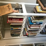 Dub Mothers Books