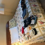 Nov Bed