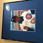 Nov Cubs