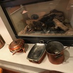Nov Copper