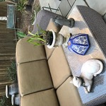 Nov Patio