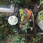 Nov Yard