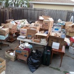 full backyard