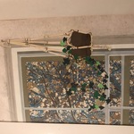 Img 4772