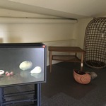 Img 4886