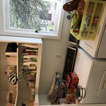 Img 4906