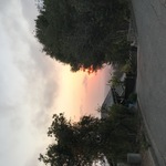 Img 7263