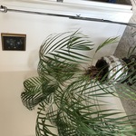 Img 7157