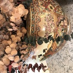 Img 7194