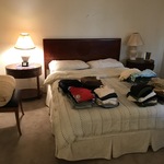 Img 7238