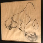 Img 7254
