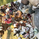 Img 7011