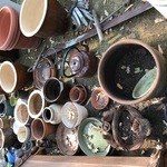 Img 7013