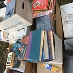 Img 7019