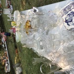 Img 7037
