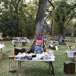 Img 7050
