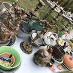 Img 7058