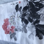 Img 9142