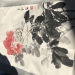 Img 9254