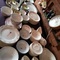 china sets