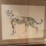 Img 9361