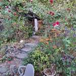 Img 9383