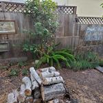 Img 9385