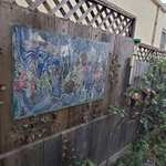 Img 9388