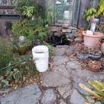 Img 9394
