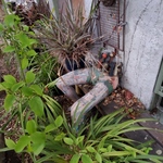 Img 9399