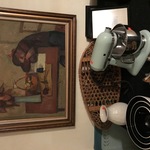 Img 9708