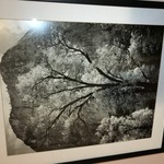 Img 9812