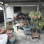 Img 0188