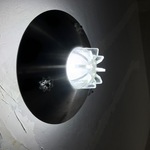 Light