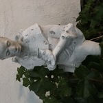 Img 4584