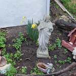 Img 4644