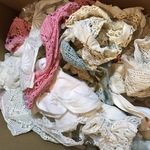 Img 4879