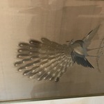Img 0196