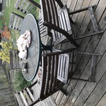 Img 1903